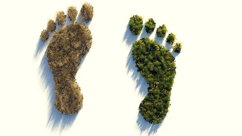 Klimaneutralität, AWS Customer Footprint Tool

